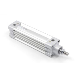 Pemaks DMCE-A 0100-0450 Double-Acting Magnetic Cushioned Pneumatic Cylinder