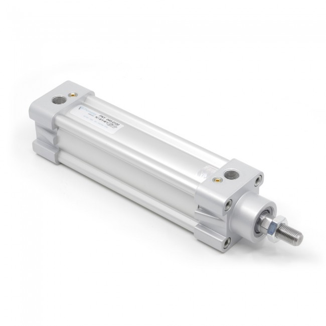 Pemaks PNY 32-160 Çift Etkili Yastıklamalı Pnömatik Silindir