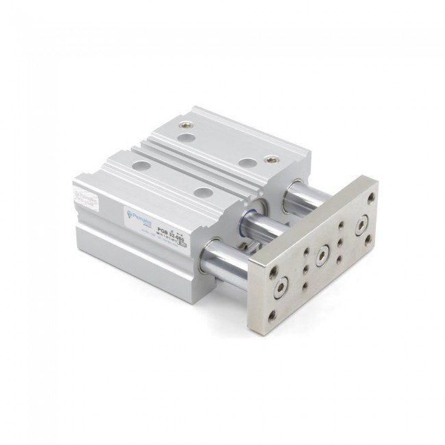 Pemaks Pgb Serisi 032-025 İkiz Yataklı Silindir Pemaks Pgb Serisi 032-025 İkiz Yataklı Silindir