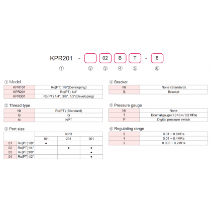 KCC KPR201 Hassas Regülatör 1/4 0.05-2 Bar