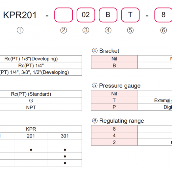 KCC KPR201 Hassas Regülatör 1/4 0.10-4 Bar