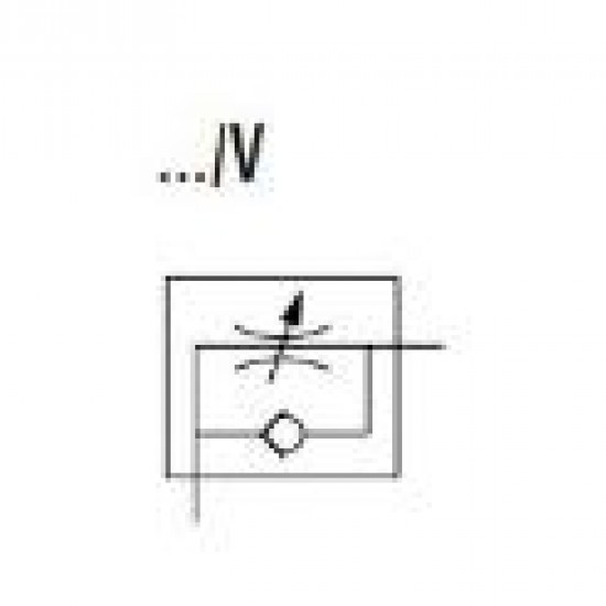 Cmatic MV38 06 14/V Tornavida Tip Teknopolimer Hız Ayar Valfi