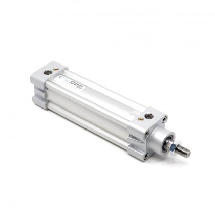 Pemaks PNY 050-0025 Pneumatic Cylinder with Cushioning, Double-Acting