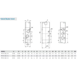 Pemaks PV1H Serisi 5/3-1/8 Hava - Hava Kapalı Merkez Solenoid Valf  Pemaks PV1H Serisi 5/3-1/8 Hava - Hava Kapalı Merkez Solenoid Valf